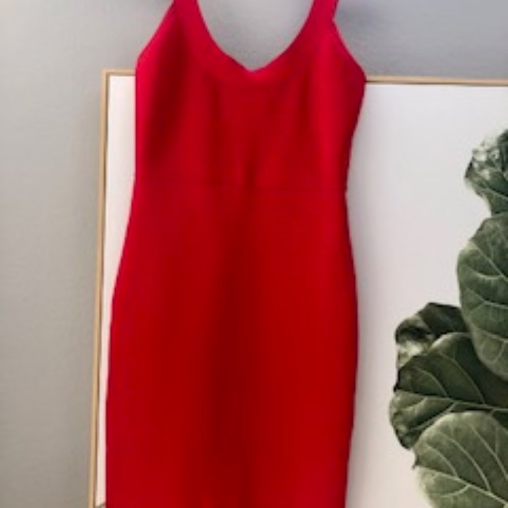 BCBG MaxAzria Caspar Bodycon Dress Size 0 - BRAND NEW - Picture 3 of 4